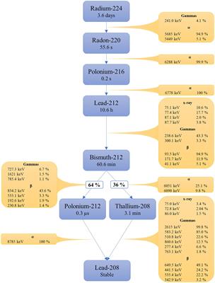 Radiation safety considerations for the use of radium-224-calciumcarbonate-microparticles in patients with peritoneal metastasis